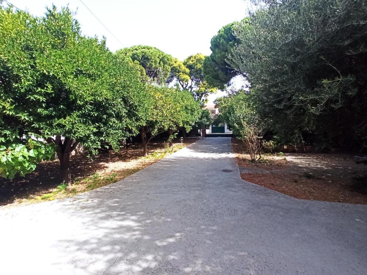 Ferienwohnung Σπίτι Στο Ρίο Πατρών Με Κήπο - Detached House In Rio With Garden Exterior foto